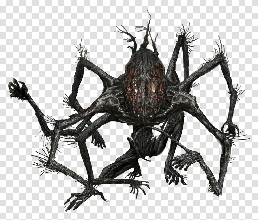 Amygdalarenger Concept Art Amygdala Bloodborne, Spider, Invertebrate, Animal, Arachnid Transparent Png