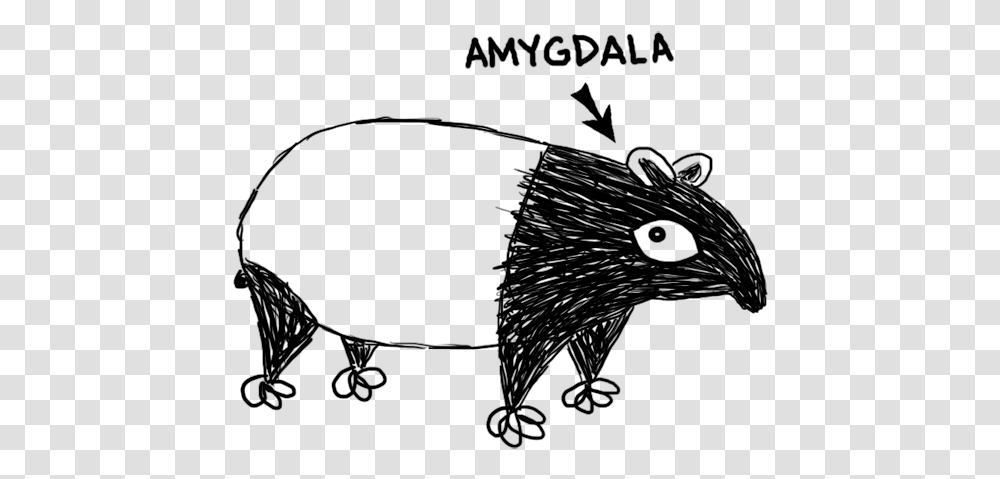 Amygdalatapir New World Porcupine, Bird, Animal, Face, Glasses Transparent Png