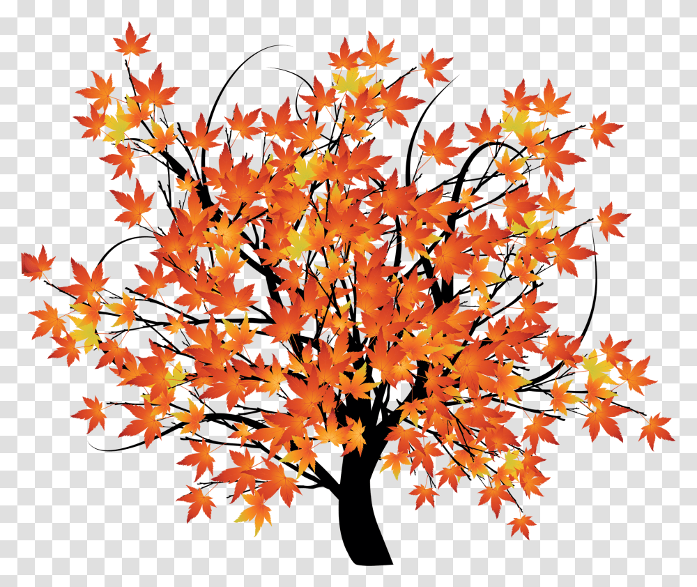 An Autumn Background Scene With Trees Autumn Tree Background, Leaf, Plant, Star Symbol, Paper Transparent Png