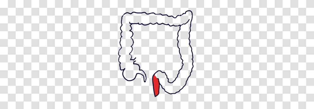 An Clipart, Purple, Label, Underwear Transparent Png