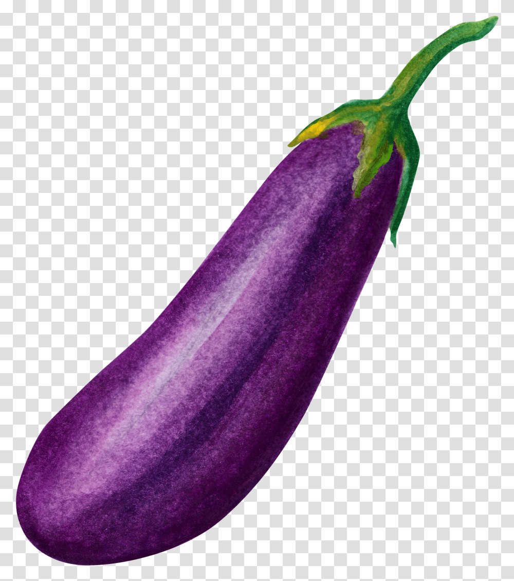 An Eggplant Download Brinjal Transparent Png