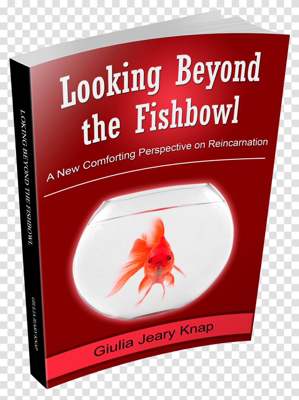 An Extract From Looking Beyond The Fishbowl A New Parasitism, Goldfish, Animal, Bird, Advertisement Transparent Png