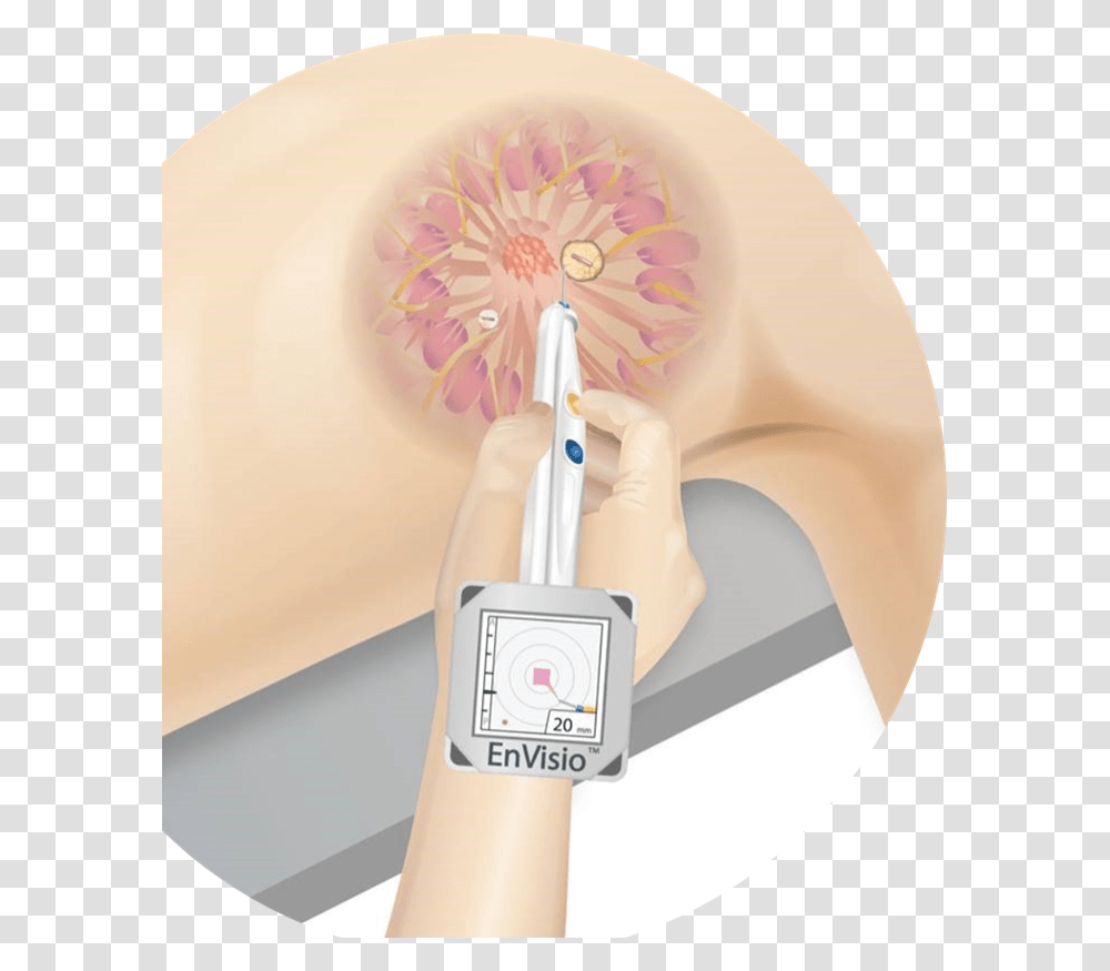 An Illustration Showing How The Elucent Device Pinpoints Floral Design, Brush, Tool, Cushion, Toothbrush Transparent Png