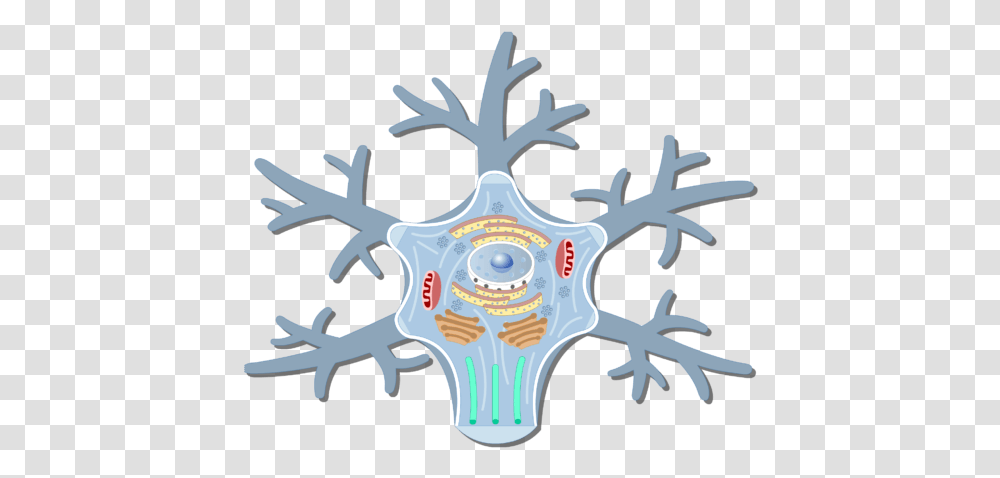 An Image Showing The Neuron Cell Body And It's Structures Nerve Cell Body Structure, Logo, Antelope, Wildlife Transparent Png