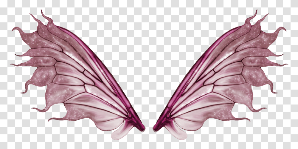 An Interactive Selbsterfahrung In Der Fairy Wings, Insect, Invertebrate, Animal, Bird Transparent Png