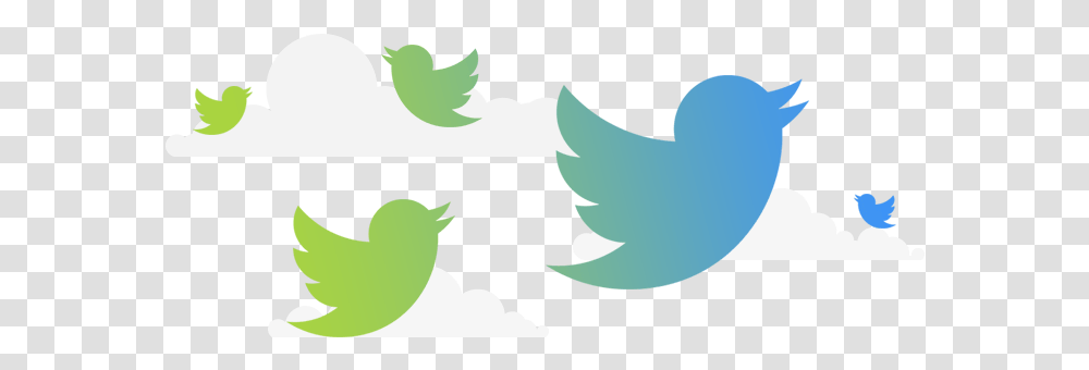 An Official Wordpress Plugin Twitter Logo In Format, Plant, Tree, Leaf, Bird Transparent Png