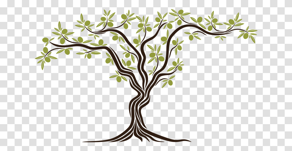 An Olive Tree Sprouted Simbol Of Peace Olive Tree Clipart, Plant, Root, Tree Trunk, Flower Transparent Png