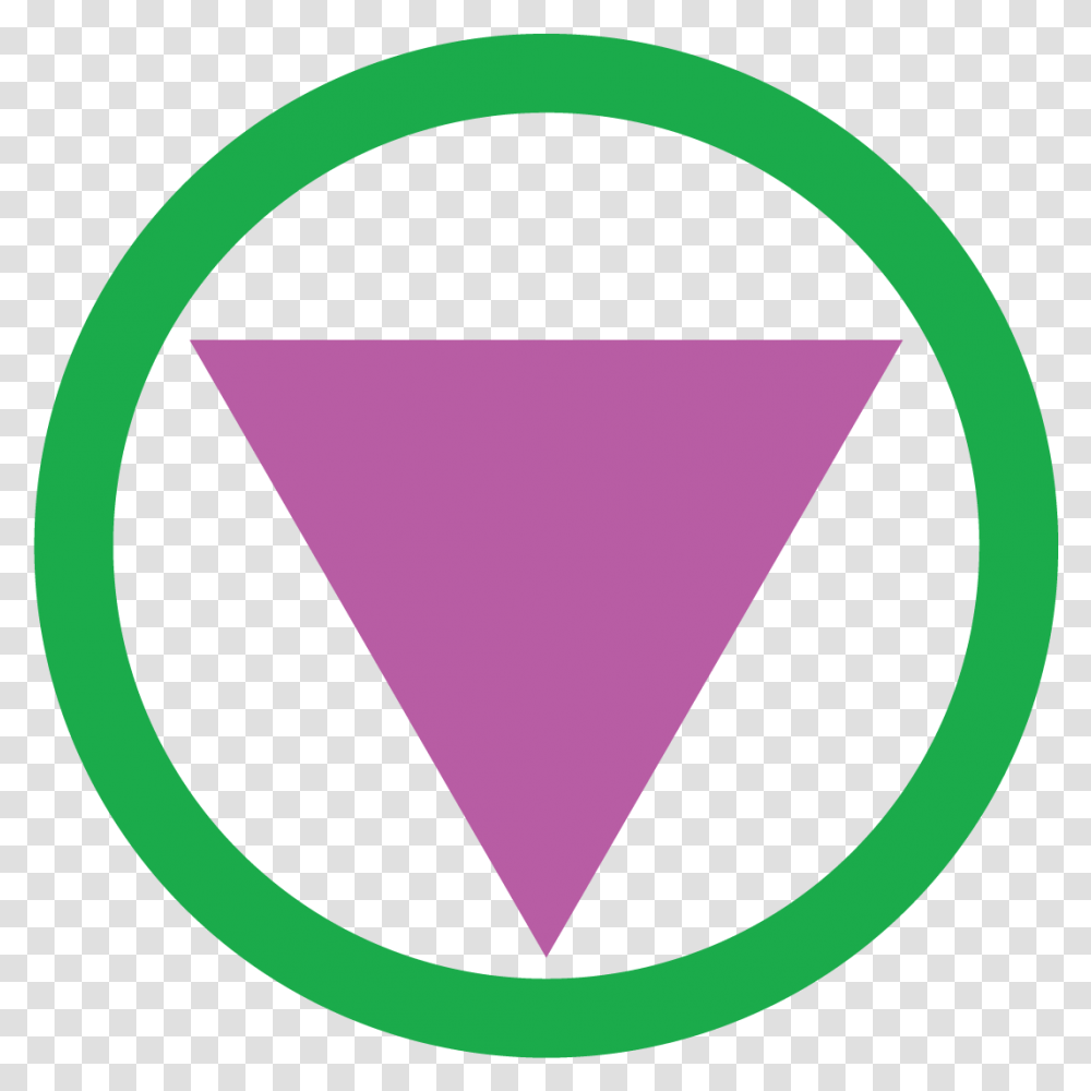 An Open Letter To Rita Cheng Camera Icon, Triangle, Plectrum Transparent Png