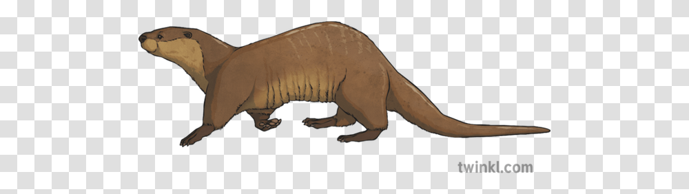 An Otter Illustration Animal Figure, Dinosaur, Reptile, Mammal, Wildlife Transparent Png