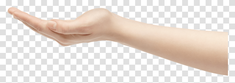 An Outstreatched Hand Holding The Icons Above Hand Holding Out, Wrist, Person, Human, Arm Transparent Png
