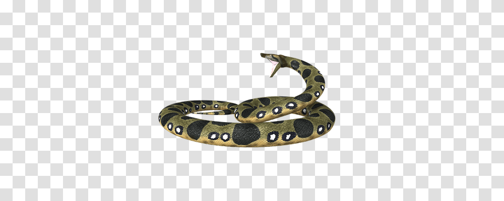 Anaconda Animals, Reptile, Snake Transparent Png