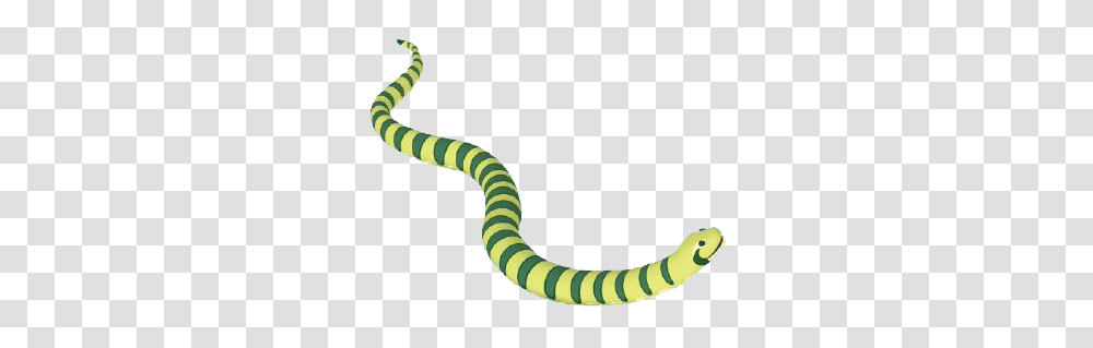 Anaconda Anaconda Images, Animal, Sea Snake, Sea Life, Reptile Transparent Png