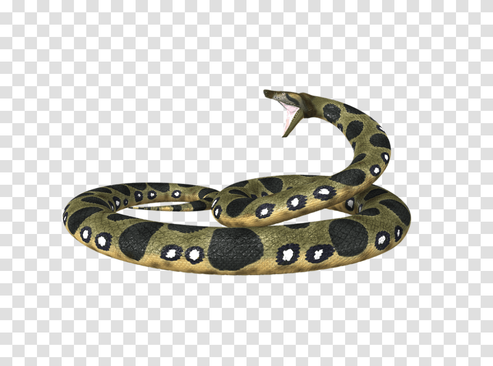 Anaconda, Animals, Snake, Reptile, Rock Python Transparent Png