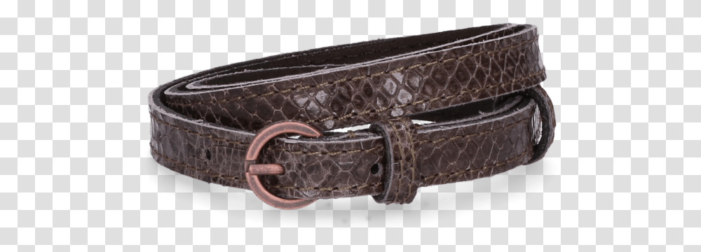 Anaconda Belt, Accessories, Accessory, Buckle, Collar Transparent Png