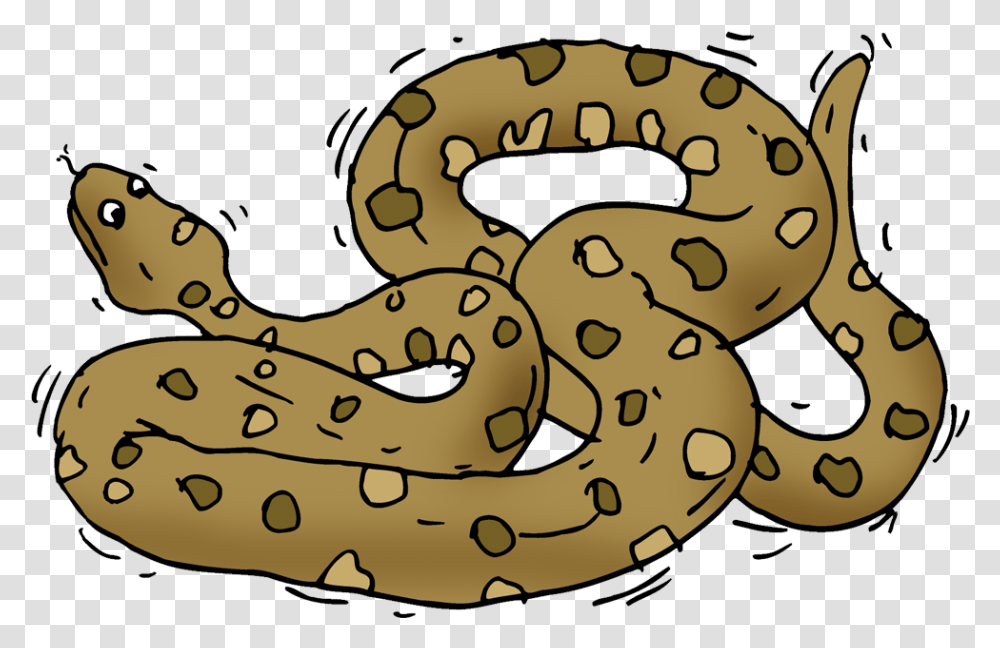 Anaconda Clipart, Animal, Sunglasses, Accessories, Accessory Transparent Png