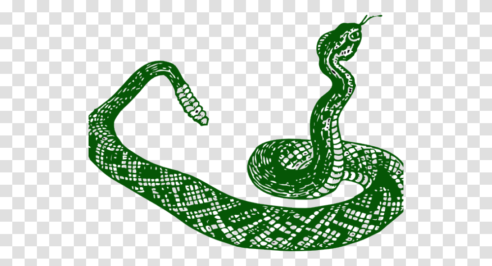 Anaconda Clipart Jungle Snake, Reptile, Animal, Green Snake Transparent Png