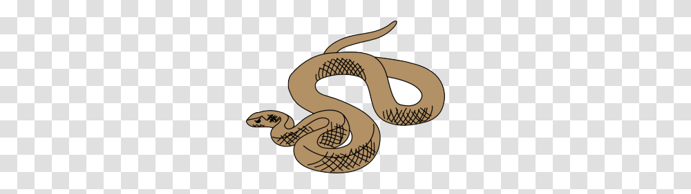 Anaconda Clipart Small Snake, Reptile, Animal, Cobra, Hammer Transparent Png