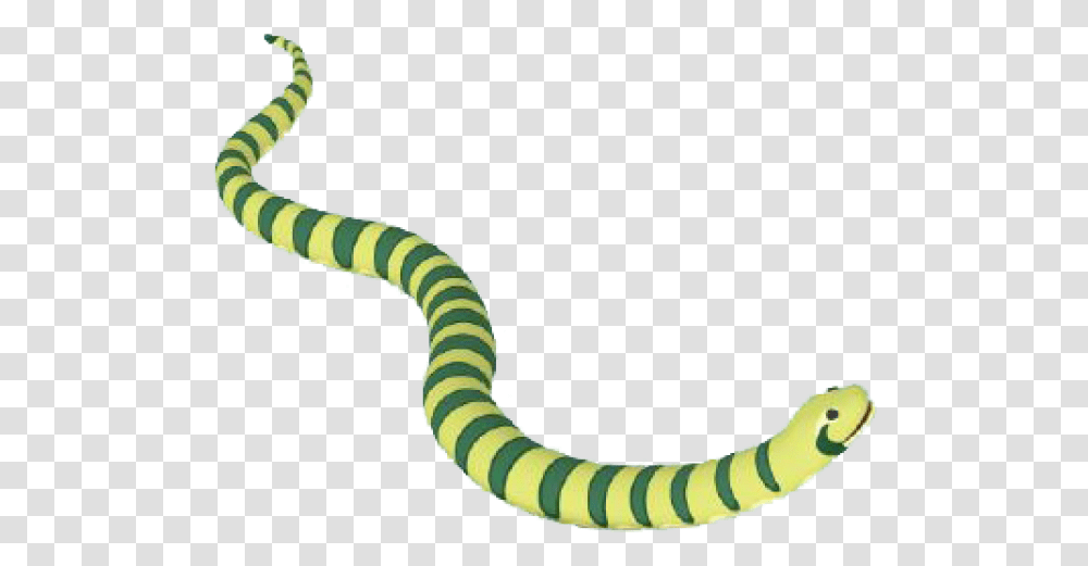 Anaconda Clipart Tail Green Anaconda, Animal, Person, Human, Sea Snake Transparent Png
