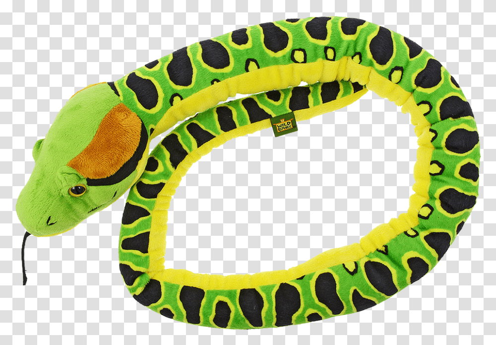 Anaconda Download Snake, Animal, Invertebrate, Label Transparent Png