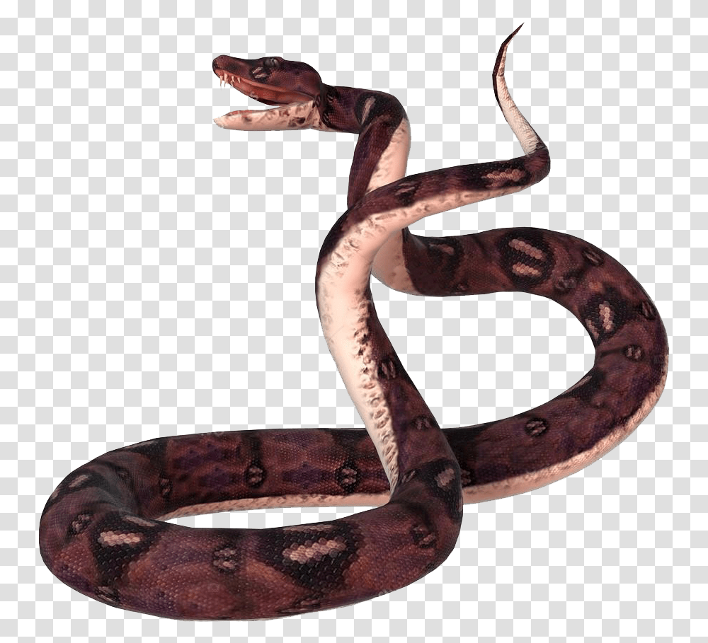 Anaconda No Background Anaconda 3d, Snake, Reptile, Animal Transparent Png