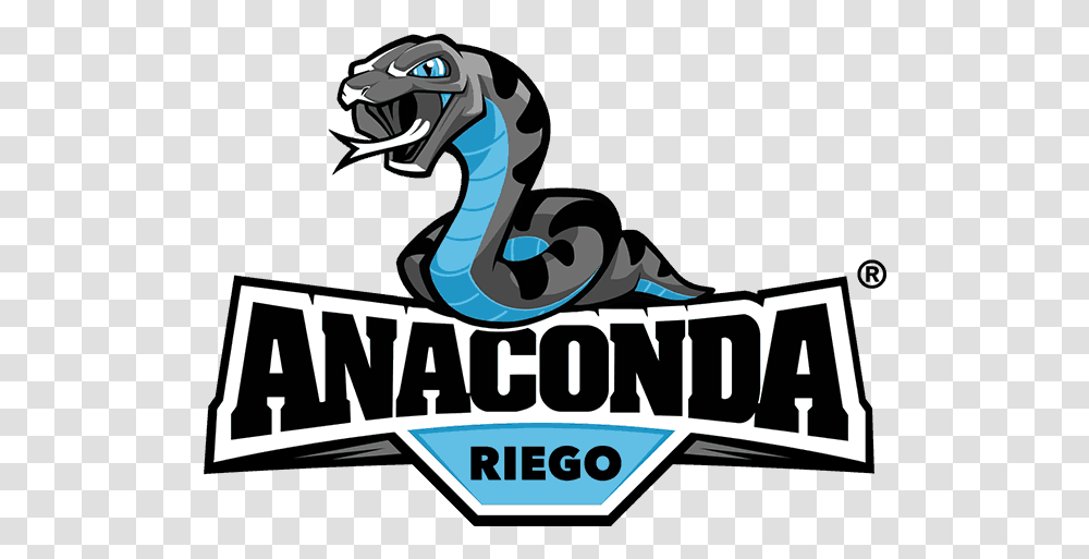 Anaconda Riego Logo Design Dinosaur, Dragon, Poster, Advertisement, Animal Transparent Png