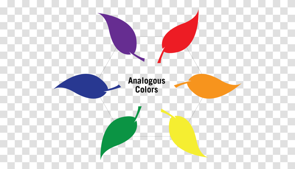 Analogous Color Wheel, Plant, Stencil, Flower Transparent Png