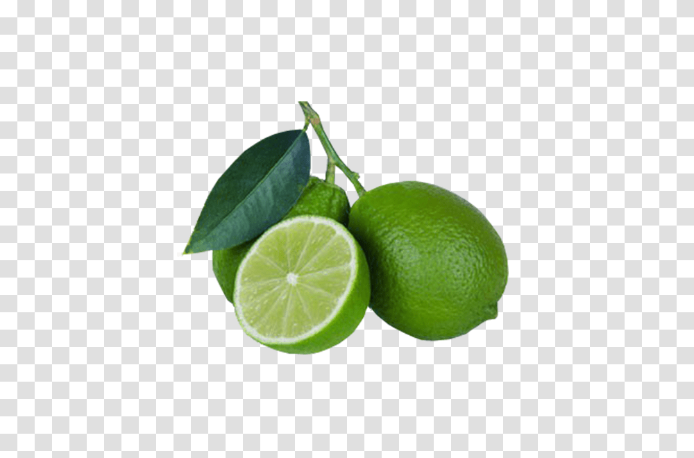 Analuz, Lime, Citrus Fruit, Plant, Food Transparent Png