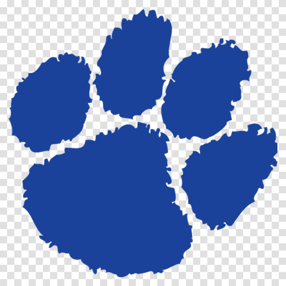 Analy High School Tiger Paw, Cross, Cushion, Logo Transparent Png