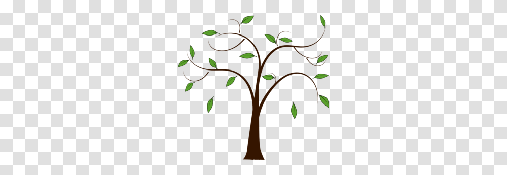 Analyzing Family Trees Legacy Tree, Green, Plant, Vegetation, Doodle Transparent Png