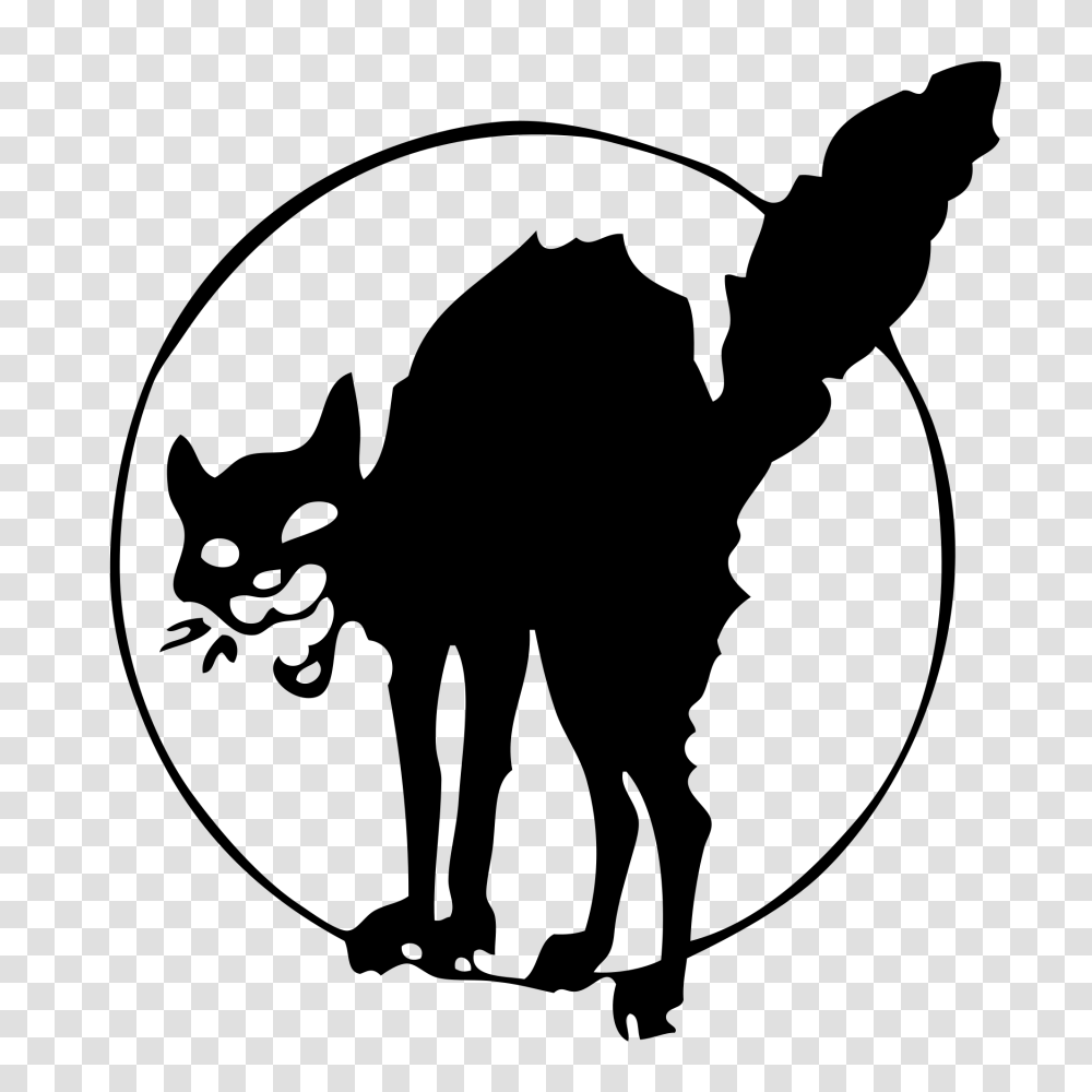 Anarchist Black Cat, Gray, World Of Warcraft Transparent Png