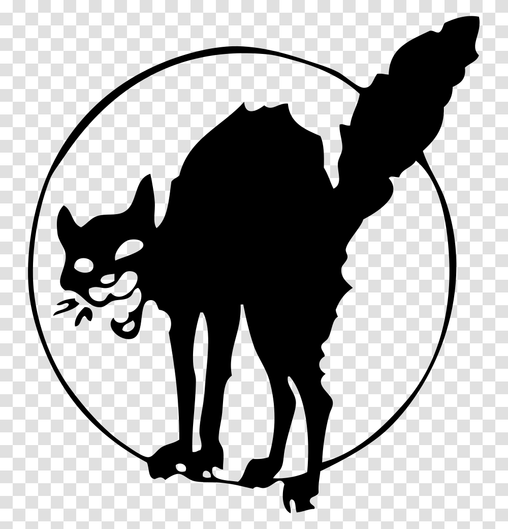Anarchist Black Cat Tattoo, Gray, World Of Warcraft Transparent Png