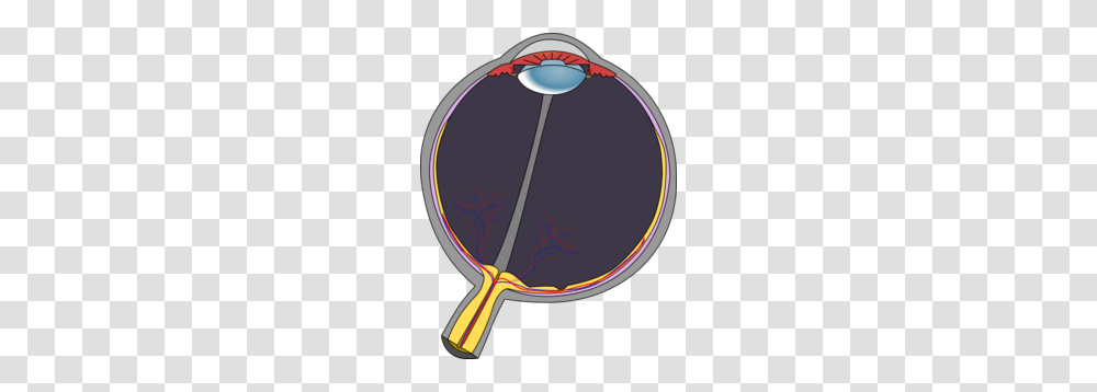 Anatomia Clip Art, Racket, Pin, Wand, Hoop Transparent Png