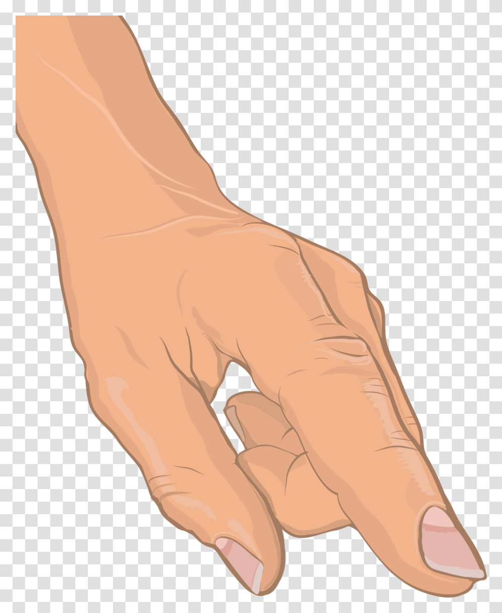 Anatomical Drawing Of Human Hand Sketch, Wrist, Person, Arm, Finger Transparent Png
