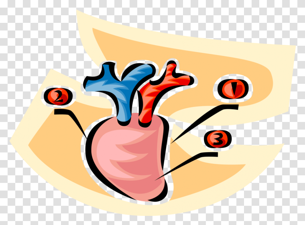 Anatomical Heart Clip Art, Food, Pork, Ham, Text Transparent Png