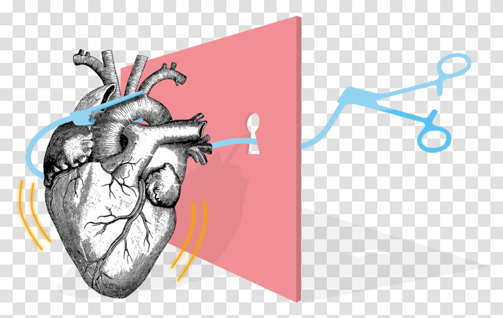 Anatomical Heart Download Human Heart, Drawing, Statue, Sculpture, Dragon Transparent Png