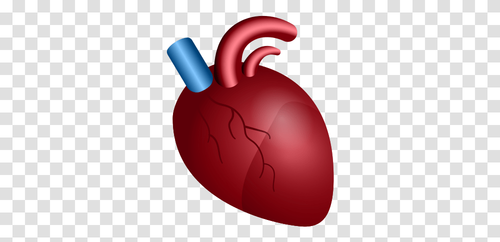 Anatomical Heart Icon Anatomy Heart Big Icon, Balloon, Plant, Sweets, Food Transparent Png