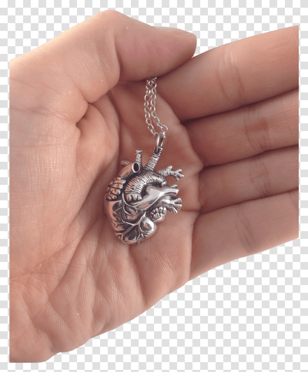 Anatomical Heart Locket, Person, Human, Accessories, Accessory Transparent Png