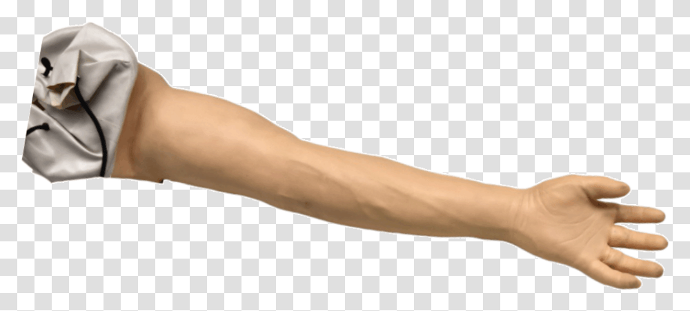 Anatomiturk Rnler Heel, Arm, Person, Human, Hand Transparent Png