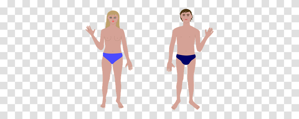 Anatomy Person, Standing, Plot Transparent Png