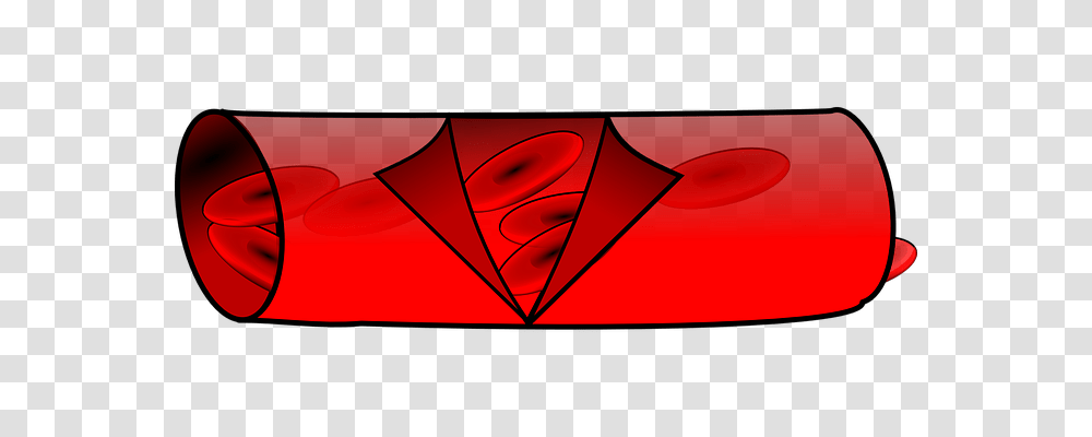 Anatomy Technology, Dynamite Transparent Png