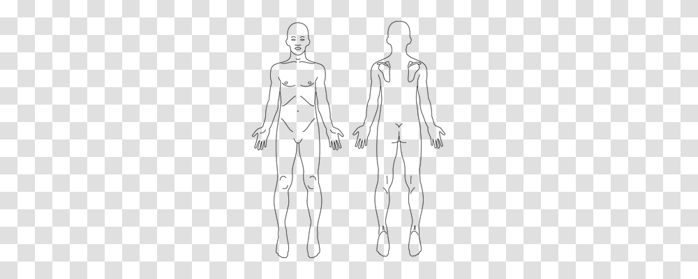 Anatomy Person, Gray, World Of Warcraft Transparent Png