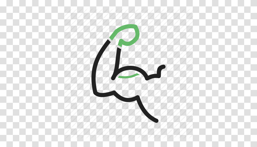 Anatomy Arm Bic Body Fitness Flexing Muscle Icon, Animal, Bow, Light Transparent Png
