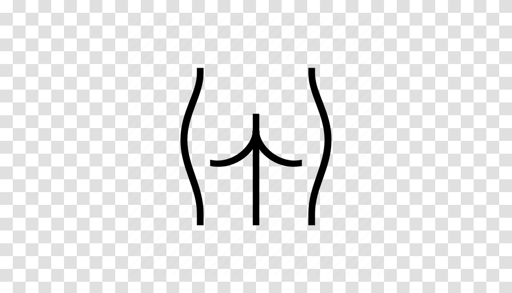 Anatomy Ass Behind Booty Health Posteriour Icon, Insect, Plot, Diagram Transparent Png