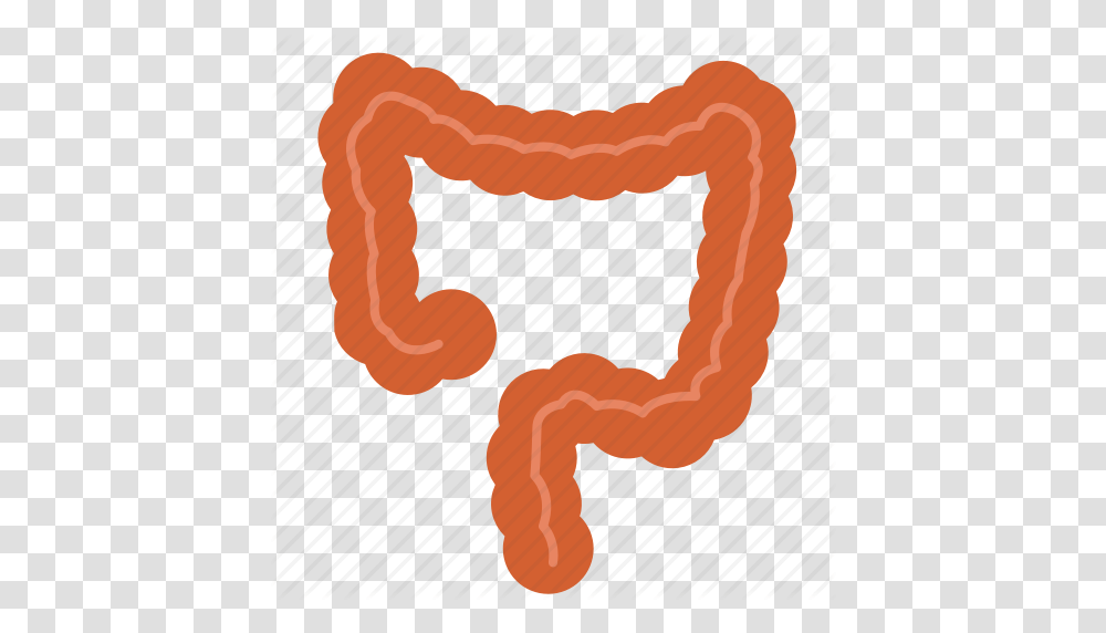 Anatomy Biology Colon Entrail Healthy Large Intestine Organ Icon, Mouth, Lip, Teeth, Rug Transparent Png
