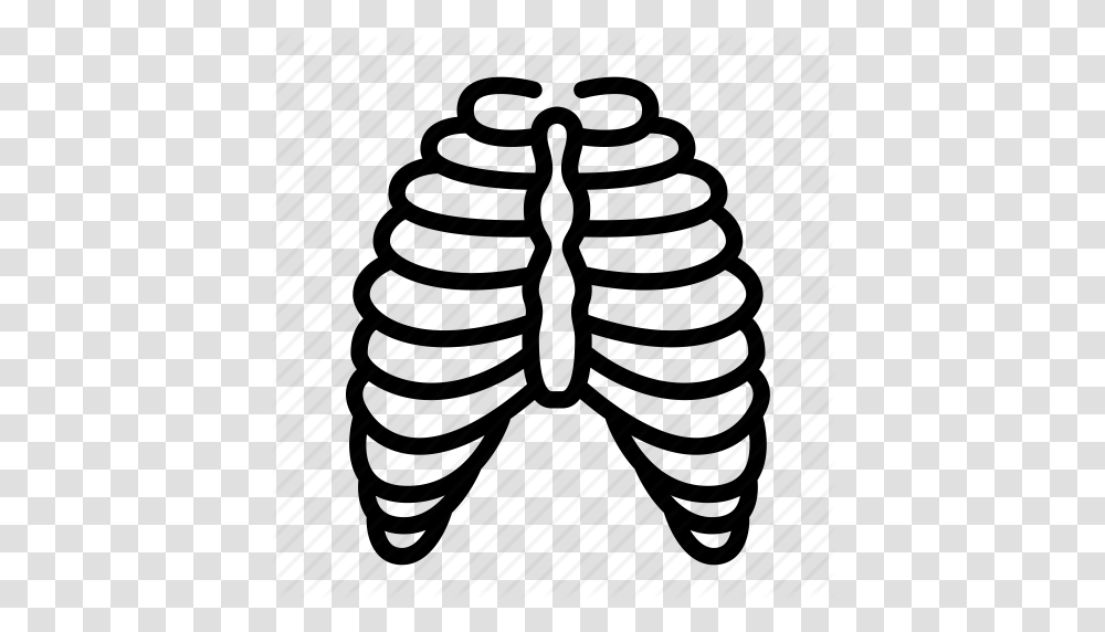 Anatomy Body Cage Human Organ Rib Skeleton Icon, Weapon, Weaponry, Pillow, Cushion Transparent Png