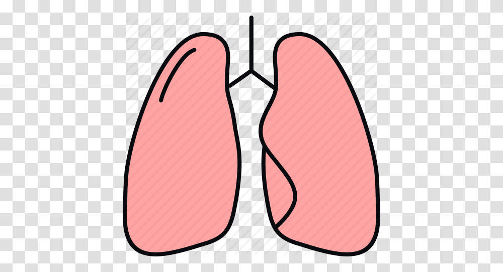 Anatomy Bodypart Lung Lungs Medical Medicine Organ Icon, Apparel, Footwear, Flip-Flop Transparent Png