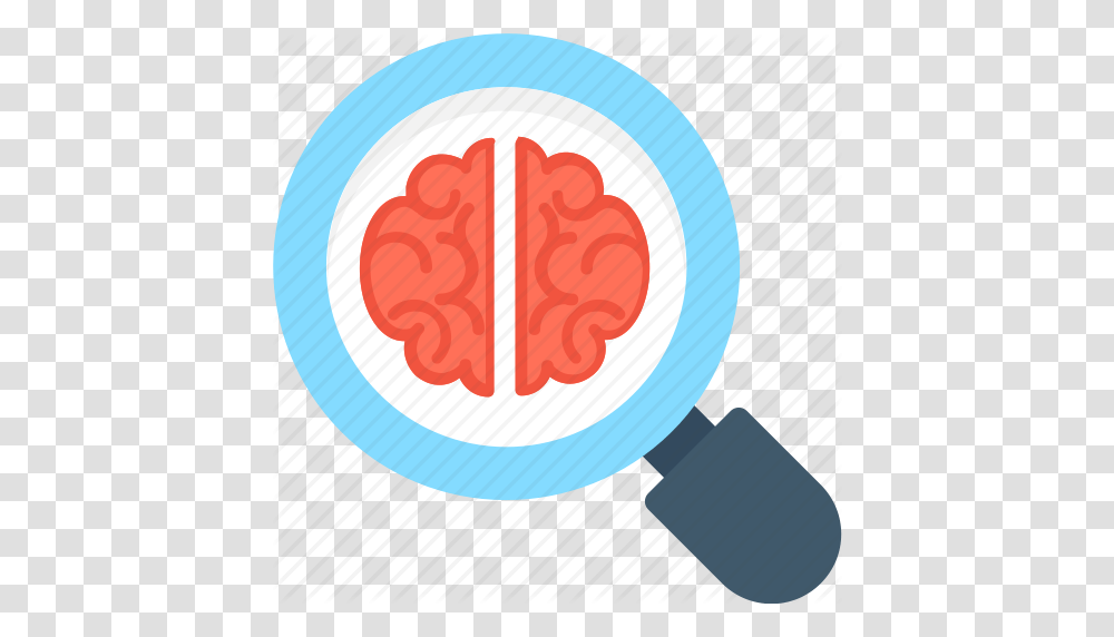 Anatomy Brain Magnifier Neurology Search Bran, Magnifying Transparent Png