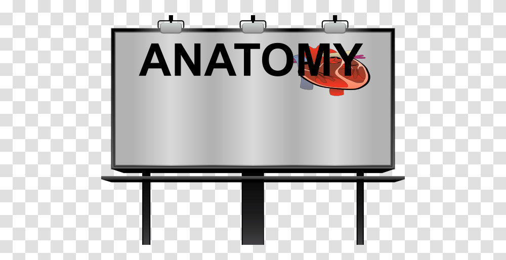 Anatomy Clip Art, Advertisement, Billboard, Label Transparent Png