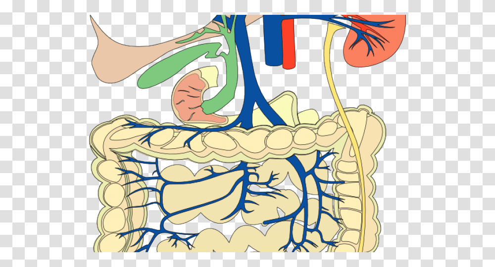 Anatomy Clipart Bilogy, Doodle, Drawing, Handbag, Accessories Transparent Png