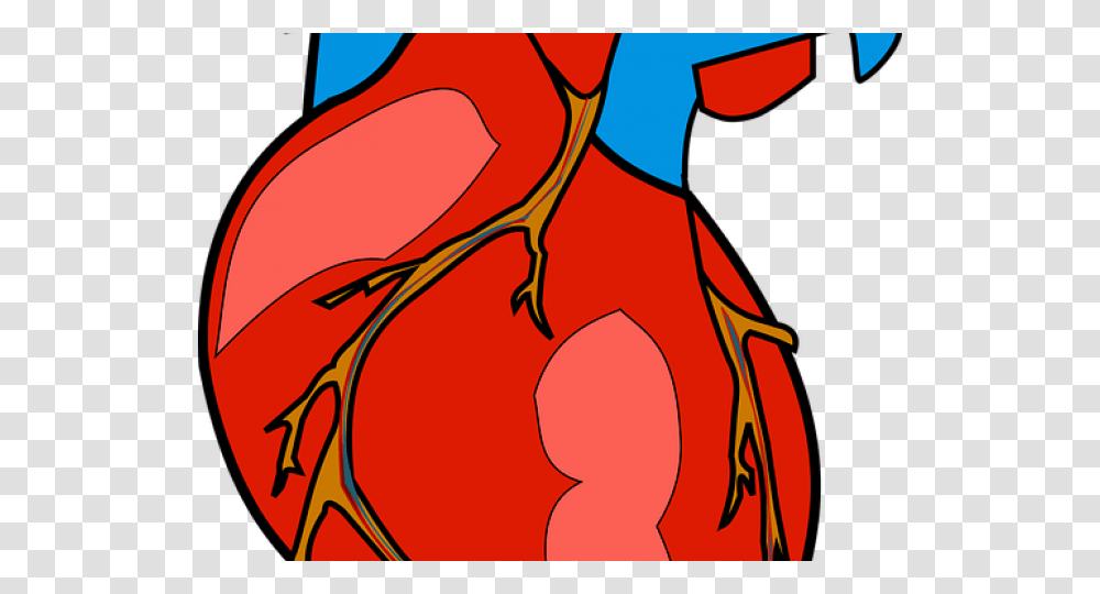 Anatomy Clipart, Modern Art Transparent Png